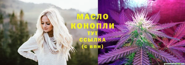 прущие грибы Ростов